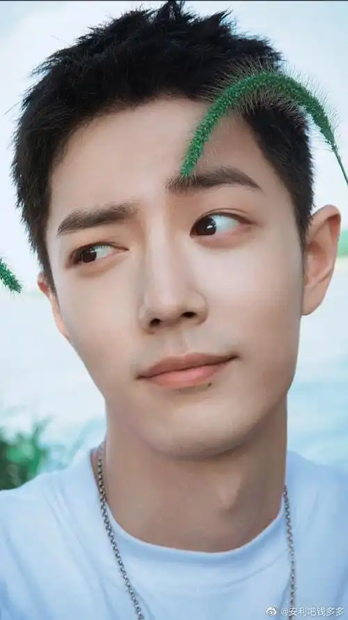 能不能寸头永久呀大长腿帅哥肖战