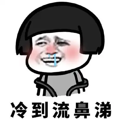 文字表情包 搞笑 逗 魔性 天气太冷了 冷到流鼻涕
