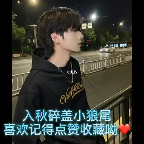 男生碎盖小狼尾又酷又帅呦