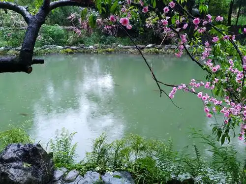 其它 重游桃花源 写美篇        这里保留着原生态的山水大自然,保留