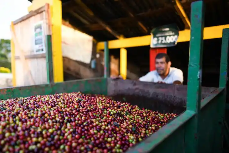 哥斯达黎加——中美洲的"咖啡王国"