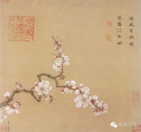 夾在桃紅柳綠的春天裡,實在尷尬.看兩張杏花.