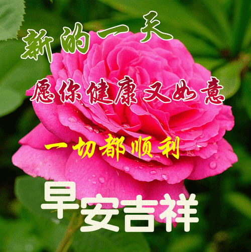 早上调皮幽默的问候句子图片,人生美满早安动态祝福图片 大家早上好