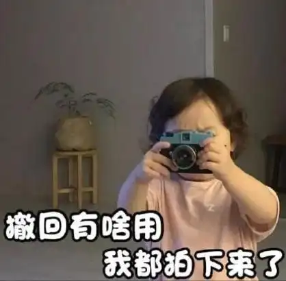 撤回有啥用我都拍下来了黄夏温表情包夏温拍下来撤回表情
