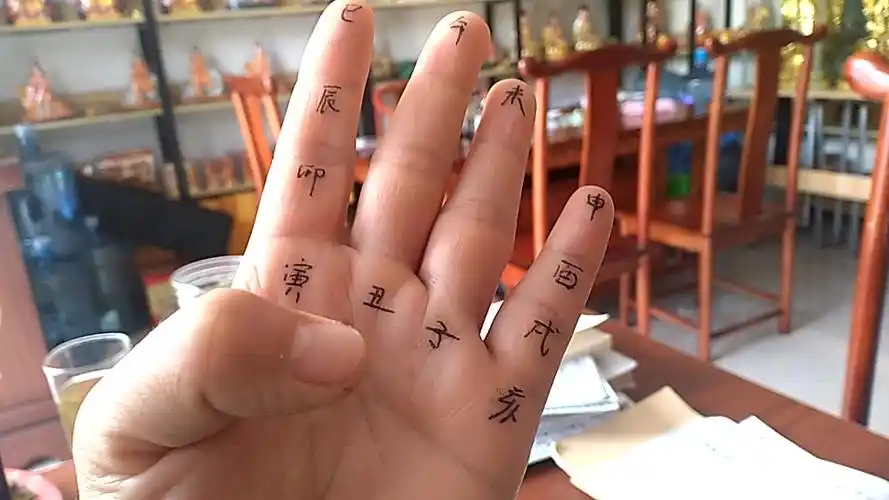 怎样在手上看十二生肖掌诀