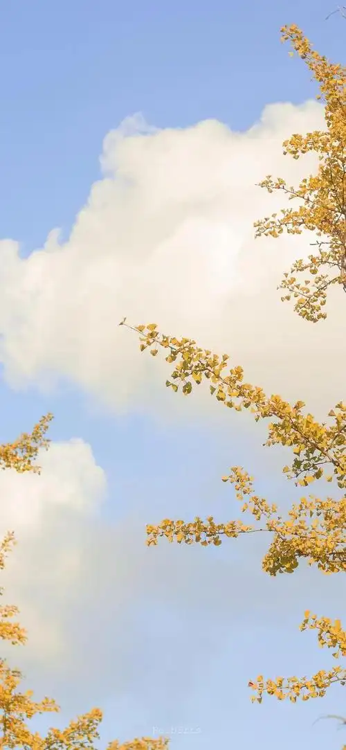 精选全面屏高清壁纸合集