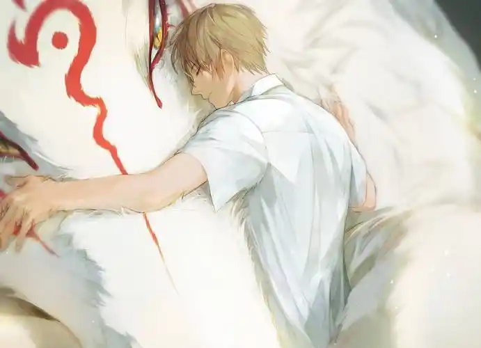 夏目友人帐夏目贵志斑