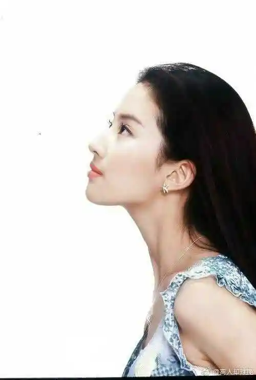 淡颜天花板女神,张柏芝刘亦菲世纪大pk,你更心水谁_圈子-新氧美容整形