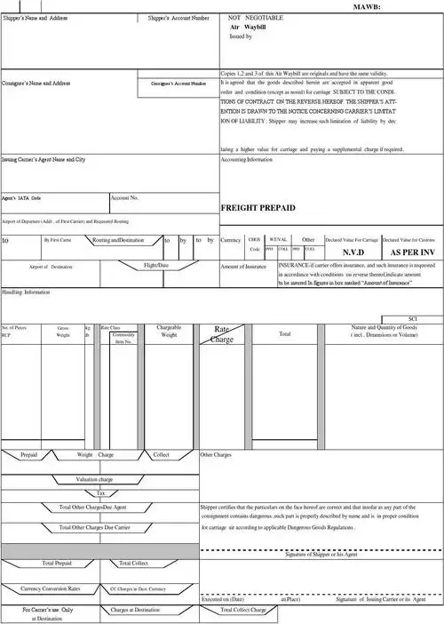 空运出口提单样本_word文档在线阅读与下载_无忧文档