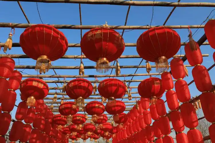 新年新景――乐陵市龙悦生态园花灯新气象