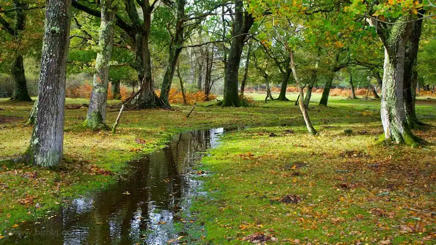 大自然美丽风景