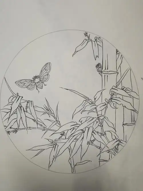 画画  #工笔画  #工笔花鸟画  #白描练习  #花卉白描  #标记我的生活