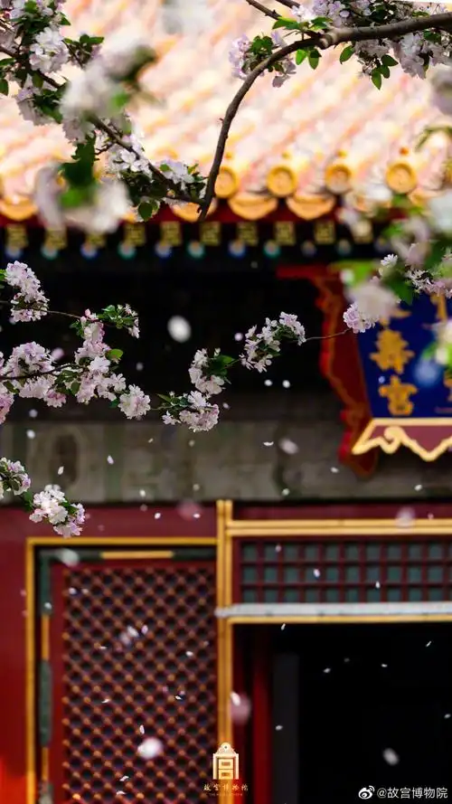 故宫- 堆糖,美图壁纸兴趣社区