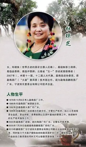 宁波普洱生茶八八青制茶人宁波别无意告诉你