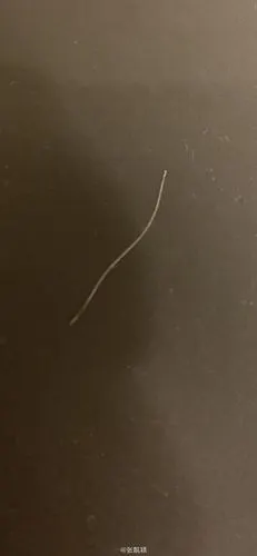 张靓颖晒照庆35岁生日 将白头发当礼物心态超好