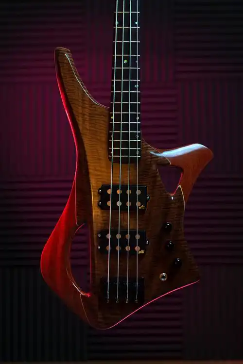 ellobassguitar舒适轻巧的电吉他为热爱音乐的你而准备