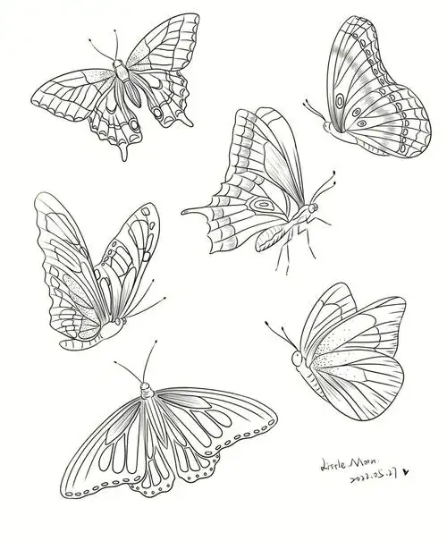 动物植物线稿素材练习3