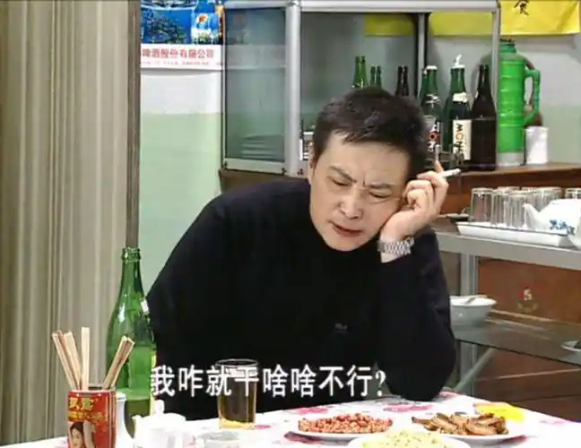 东北一家人20年演员格局大变样女主嫁巨星小龙套成大腕