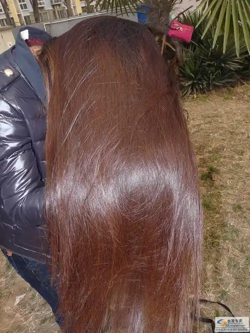 现在是长波浪,今年一月份染得亚麻色.