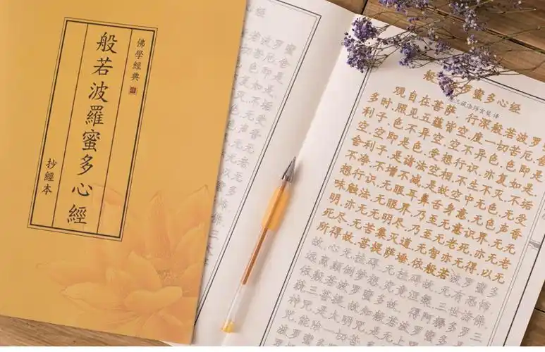 往生净土抄经本楞严咒地藏经硬笔描红临摹佛经字帖楷体手抄本套餐sn