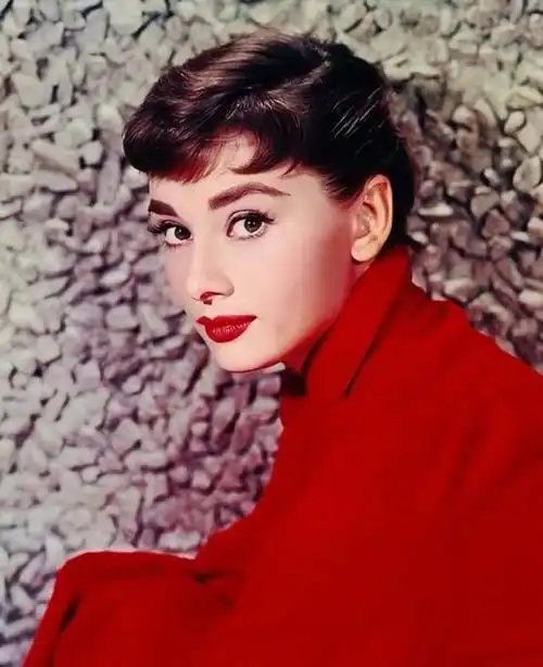 复刻奥黛丽赫本女装多少钱(复刻奥黛丽赫本女装)-第2张图片-原单渠道