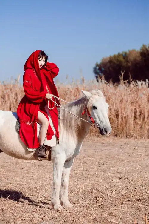 身骑白马走三关