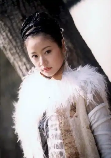 月是在电视剧《飞刀又见飞刀》中登场的虚拟人物,03版电视剧由林心如