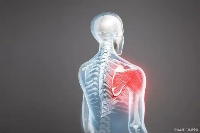 后背,肩胛骨区域疼痛是怎么回事?如何应对?