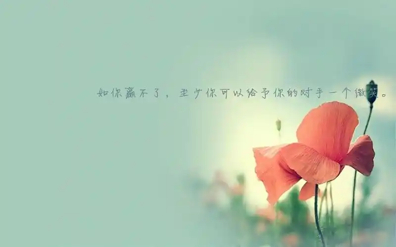 简约励志奋斗文字桌面壁纸,艺术壁纸-回车桌面