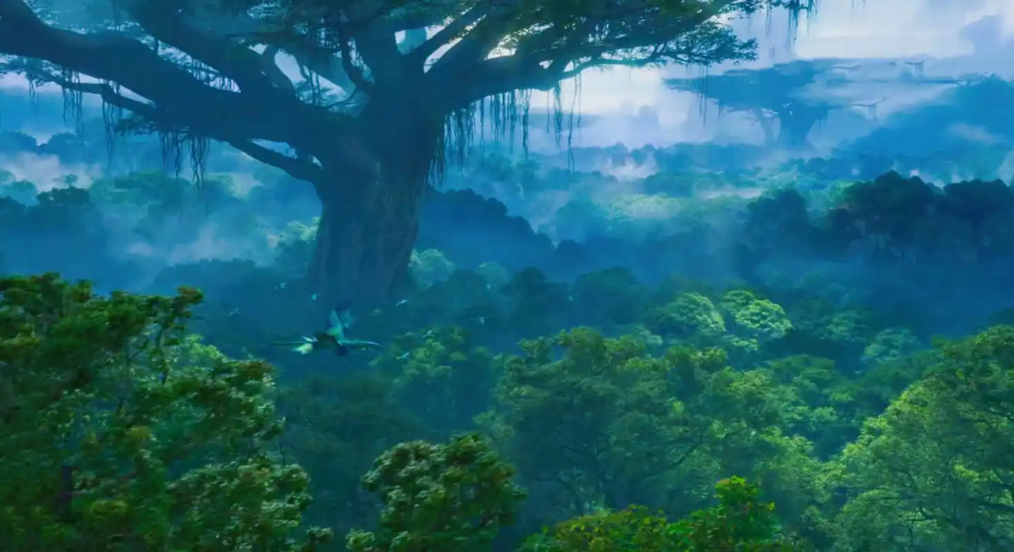 重温阿凡达影片,记得第一次看阿凡达有好几年了吧,那时只感叹国外的