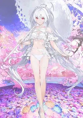 《fgo》阿瓦隆女士从者图鉴 梅莉泳装技能宝具效果一览