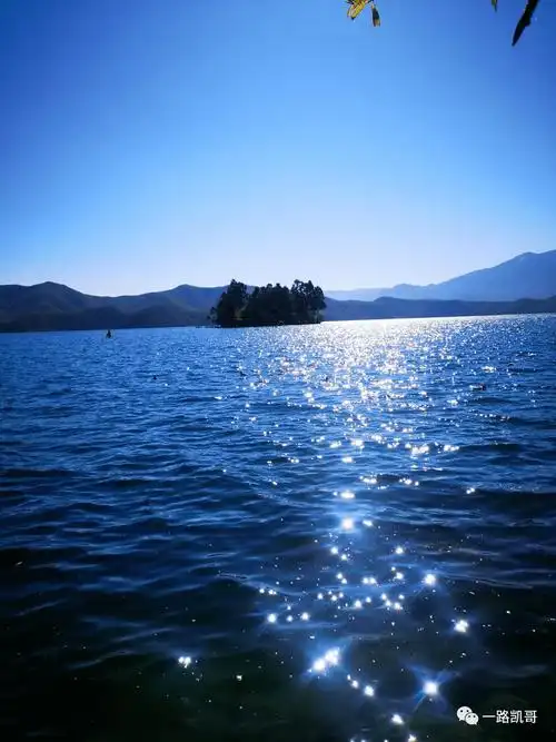 水产朋友们,2021年,咱们换个方式过吧!