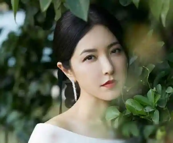 年才出的美女曾黎,打年酱油不红的原因分析