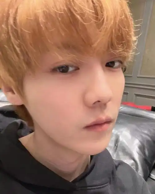 鹿晗更新近照黄发抢眼颜值帅气曾经的顶流为何快要销声匿迹