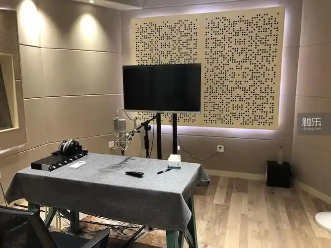 为游戏献声中文配音演员和他们心中的好声音