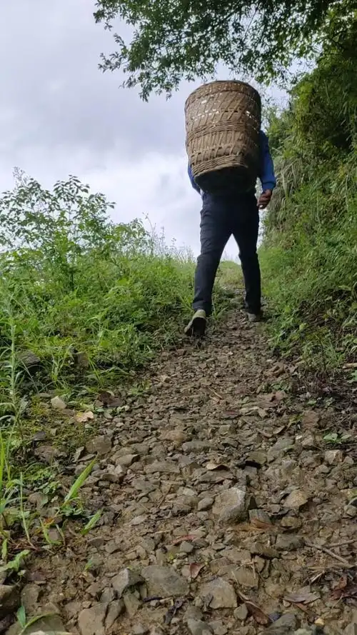 大山里的农村人