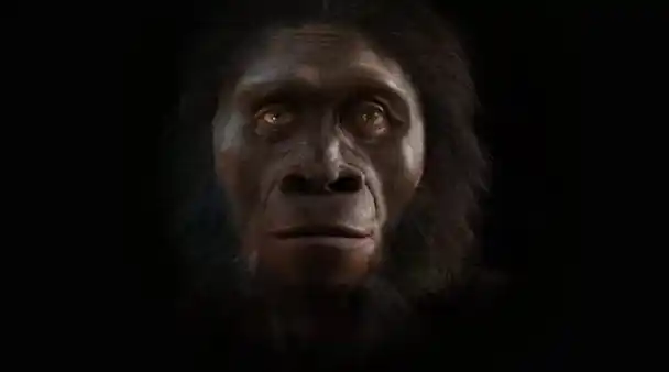 地球上本来没有人类那么第一个人是如何出现的