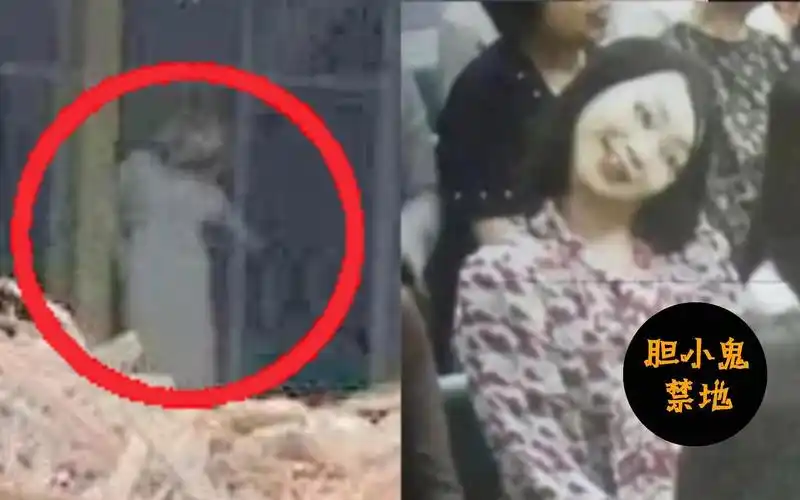 为什么最近会梦到鬼怪现实(为什么最近会梦到鬼怪现实中的自己)