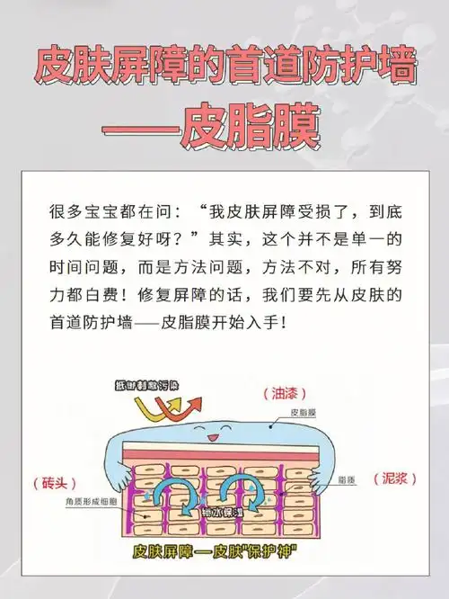 98修复屏障的话,皮肤屏障的首道防护墙——皮脂膜很多宝宝都在问:"