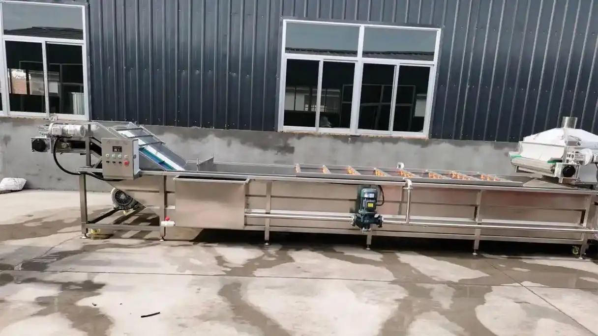 牡丹菜清洗机自动化生产设备.