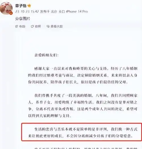 与汪峰离婚不到一年章子怡官宣喜讯恭喜自己等到这一天