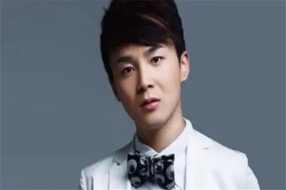 湖南卫视男主持人排行榜汪涵何炅在前列最后一名是他