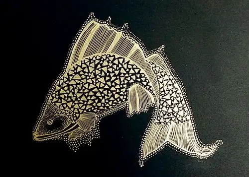 理性之美-鱼|插画|插画习作|狗尾巴草123 - 原创作品 - 站酷 (zcool)