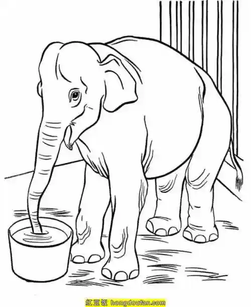 一年级简笔画,下载,专注力,二年级简笔画,免费,免费下载,动物园,动画