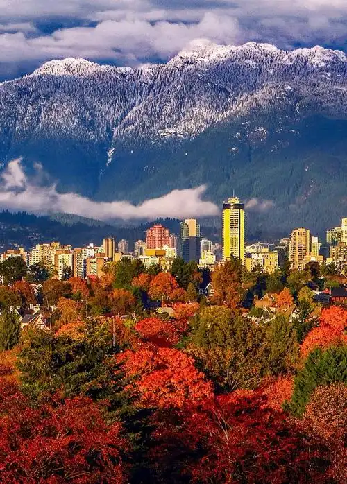 论秋景加拿大凭什么赢