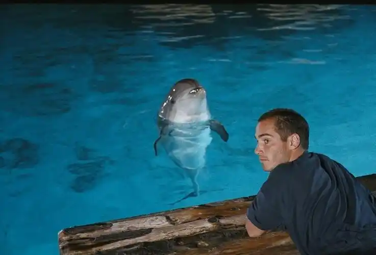 碧海蓝天 the big blue 电影介绍,剧照 | 预告片 | 海报 @ kingmedia