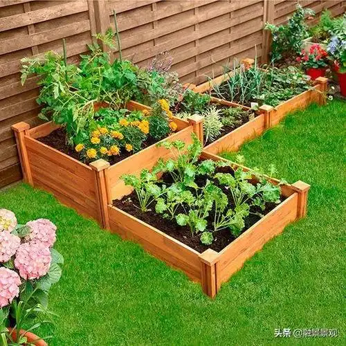 人家别墅是花园我家是菜园