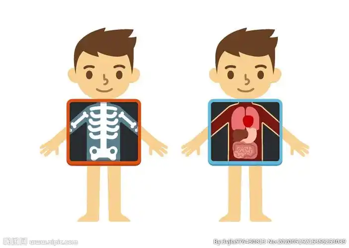 【开幼——新时代文明实践】——我会保护自己之《身体的秘密》