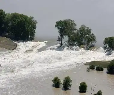 梦见发大水好不好,做梦梦到发大水冲断桥人掉进水里