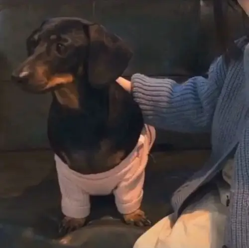 男盆友不是人系列情侣头像